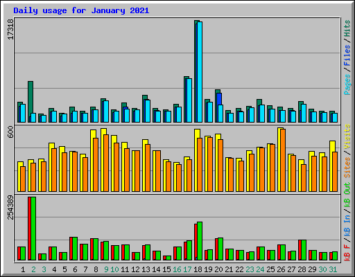 Daily usage for January 2021