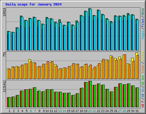 Daily usage for January 2024