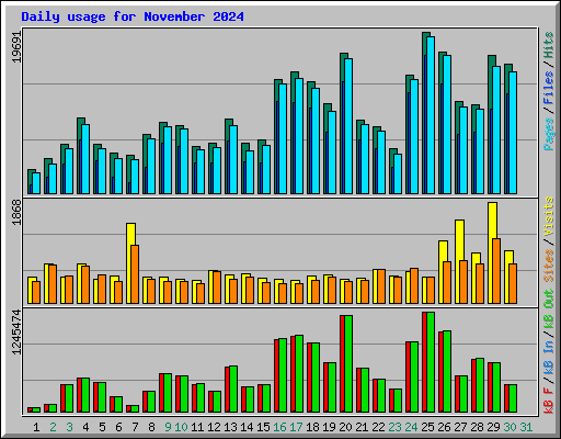 Daily usage for November 2024
