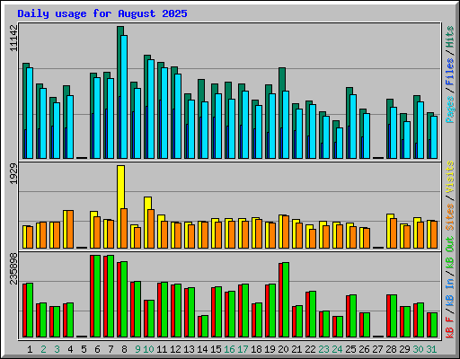 Daily usage for August 2025