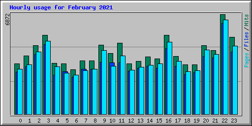 Hourly usage for February 2021
