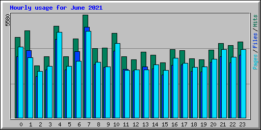 Hourly usage for June 2021