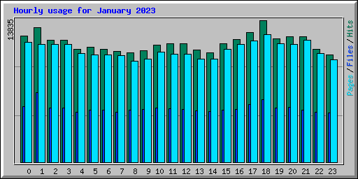 Hourly usage for January 2023