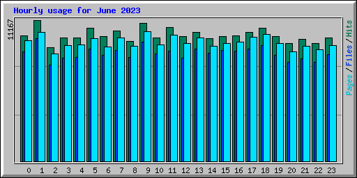 Hourly usage for June 2023