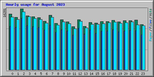 Hourly usage for August 2023