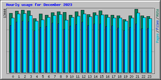 Hourly usage for December 2023