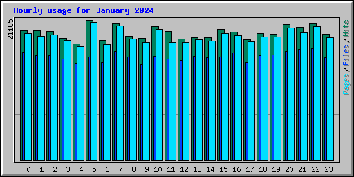 Hourly usage for January 2024