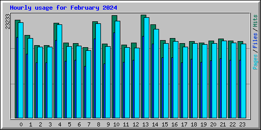 Hourly usage for February 2024
