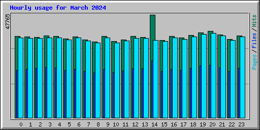 Hourly usage for March 2024