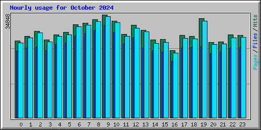 Hourly usage for October 2024