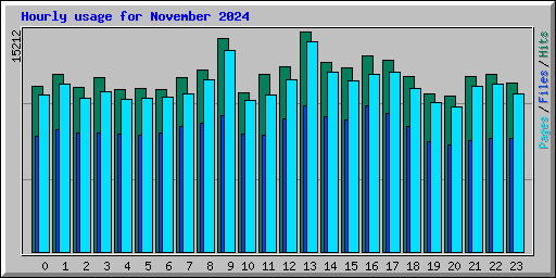 Hourly usage for November 2024