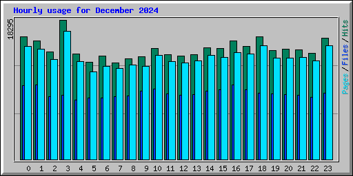 Hourly usage for December 2024