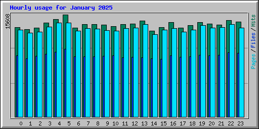Hourly usage for January 2025