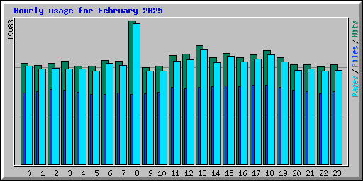 Hourly usage for February 2025