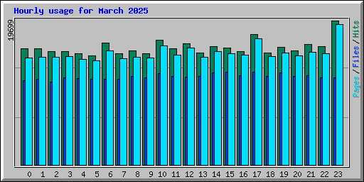 Hourly usage for March 2025