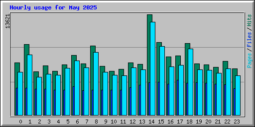 Hourly usage for May 2025