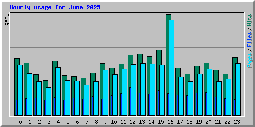 Hourly usage for June 2025