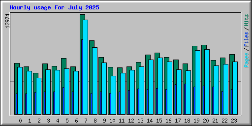 Hourly usage for July 2025