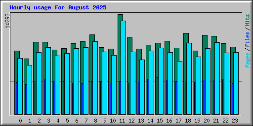 Hourly usage for August 2025