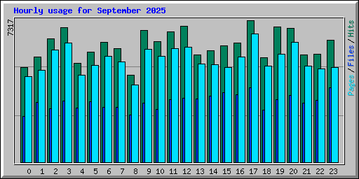 Hourly usage for September 2025