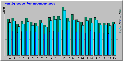 Hourly usage for November 2025
