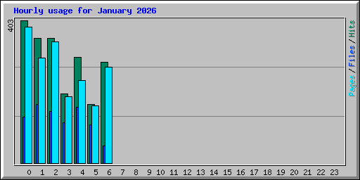 Hourly usage for January 2026